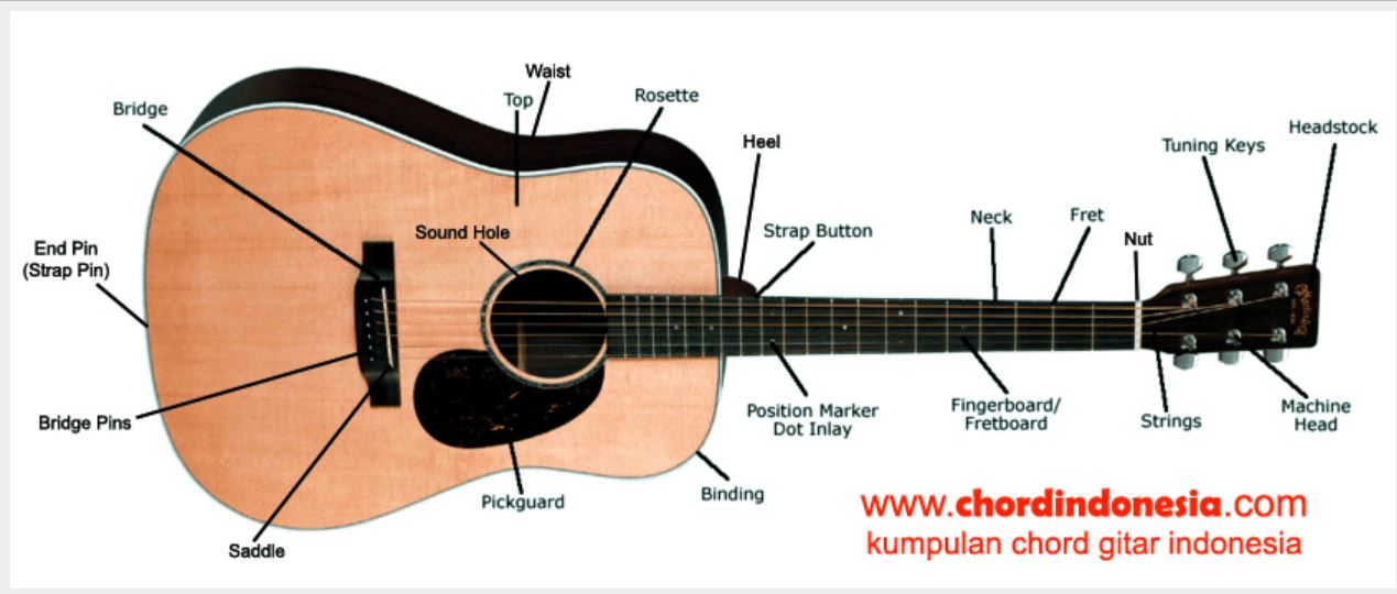 Download 880 Koleksi Gambar Gitar Akustik Dan Bagiannya Terbaik HD