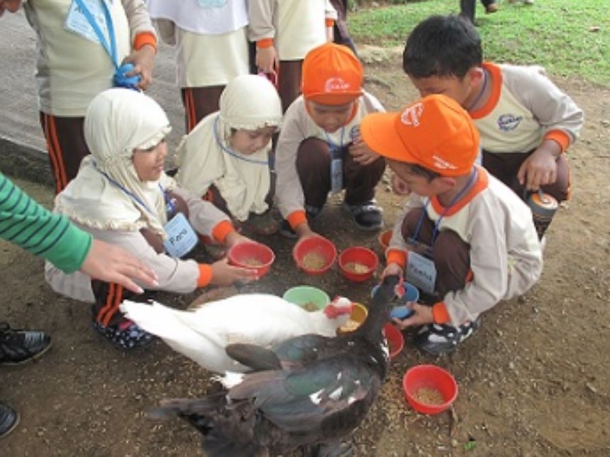 7 Manfaat Memelihara Hewan Bagi Anak Usia Dini  Dunia 